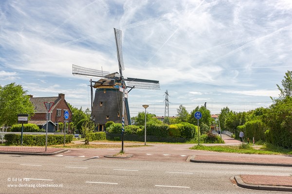 Medium property photo - Loudonstraat 16, 2593 RW Den Haag