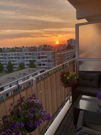 Medium property photo - Mozartlaan 124, 2555 KL Den Haag