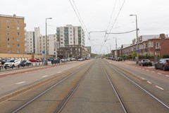 QY0A4785.jpg