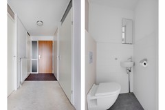 Toilet.jpg