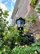 IMG_6290.jpeg