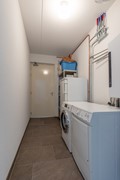 20250912- In de Bongerd 9 Nieuwstadt 11.jpg