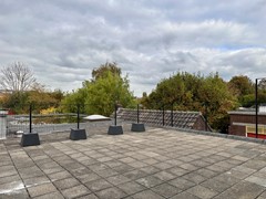 IMG_8601.jpeg