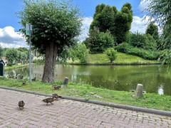 Verhuurd:Kornerstraat 22, 6363 BX Wijnandsrade - Foto
