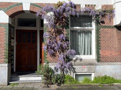 Sold: Admiraal de Ruijterweg 52-1, 1056 GL Amsterdam