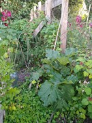 Under offer: Valentijnkade 119, 1095 JL Amsterdam