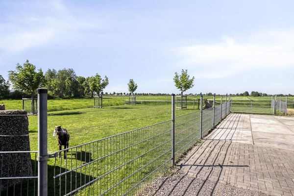 Medium property photo - Mijdrechtse Dwarsweg 12, 3648 BS Wilnis