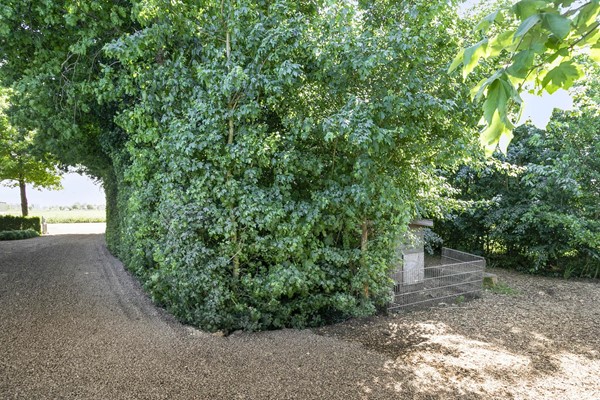 Medium property photo - Mijdrechtse Dwarsweg 12, 3648 BS Wilnis