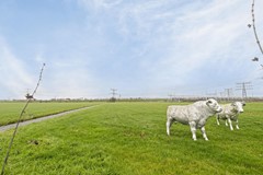 Kortrijk 3, 3621 LZ Breukelen 