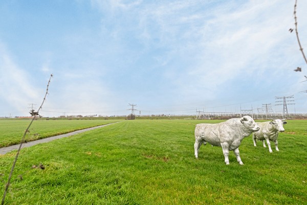 Medium property photo - Kortrijk 3, 3621 LZ Breukelen