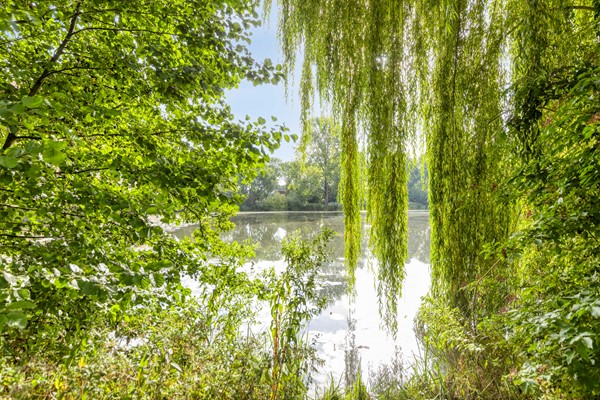 Medium property photo - Burgemeester Timmermanslaan 9, 3481 BK Harmelen