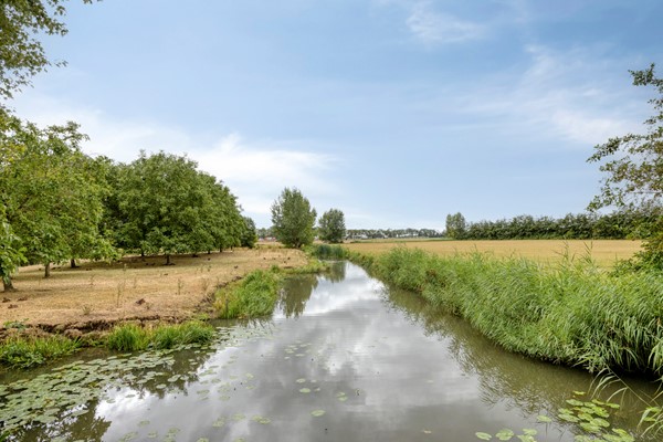 Foto - Te koop: M.A. Reinaldaweg 8, 3446 CB Woerden