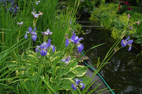 Foto - Te koop: Mijzijde 84A, 3471 GR Kamerik