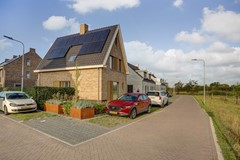43_ZUNDERT_4881TC_Korenveld_1.jpg