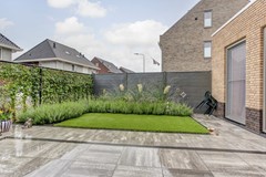 31_ZUNDERT_4881TC_Korenveld_1.jpg
