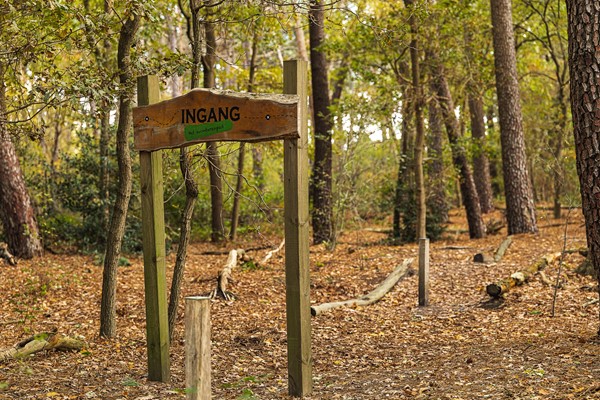 Medium property photo - Pierestraat 5A, 4715 RP Rucphen