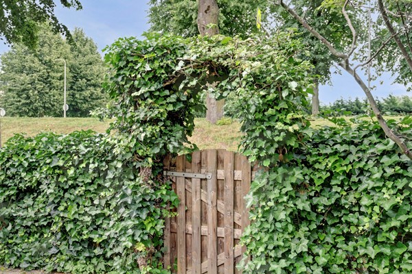 Medium property photo - Vlietstraat 26, 3295 GN 's-Gravendeel