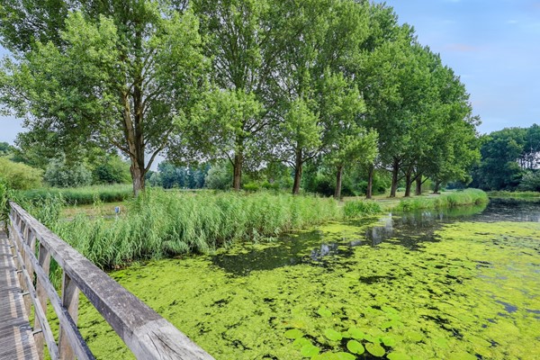 Medium property photo - Pelikaan 46, 2986 TB Ridderkerk