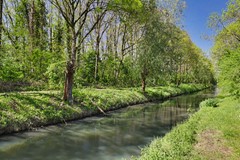 51_S_GRAVENDEEL_3295_SZ_Zonnebloemlaan_15.JPG