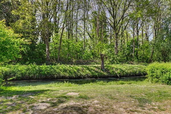 53_S_GRAVENDEEL_3295_SZ_Zonnebloemlaan_15.JPG