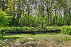 53_S_GRAVENDEEL_3295_SZ_Zonnebloemlaan_15.JPG