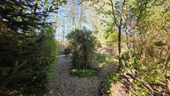 Garten X.jpg