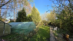 Garten XI.jpg