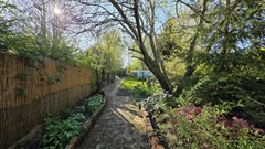 Garten XIII.jpg