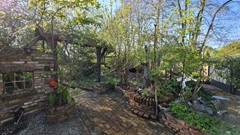 Garten XV.jpg