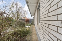 foto_50.jpg