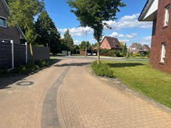 IMG_4535.jpeg