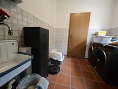 IMG_20260724_145604.JPG