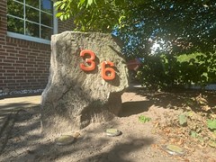 Te koop: Tannenweg 36, 49843 Uelsen