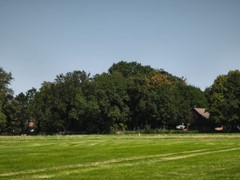 Weitblick.jpeg