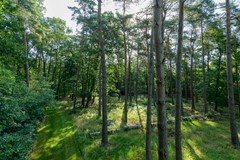 Nieuw in verkoop: Loenenseweg 93, 7361 GE Beekbergen