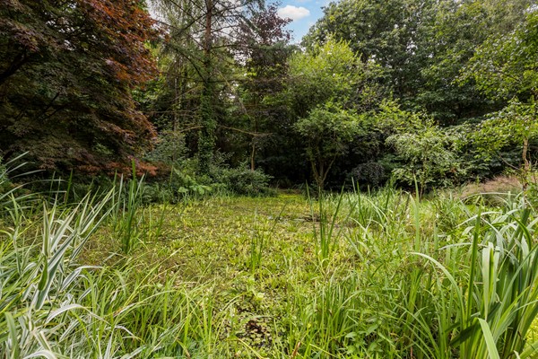 Medium property photo - Stoppelbergweg 23, 7361 TE Beekbergen