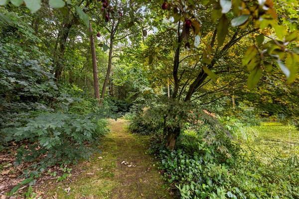 Medium property photo - Stoppelbergweg 23, 7361 TE Beekbergen