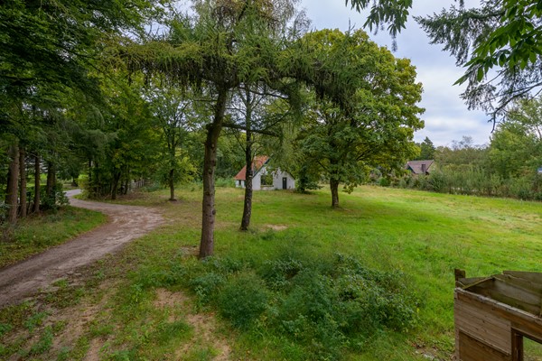 Medium property photo - Miggelenbergweg 54, 7351 BP Hoenderloo