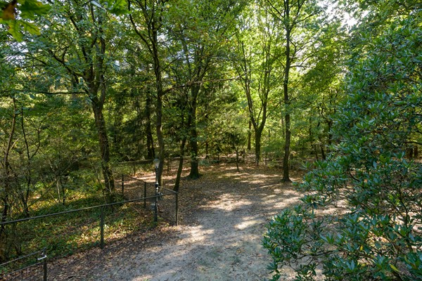 Medium property photo - Zonnegloren 19, 7361 TL Beekbergen