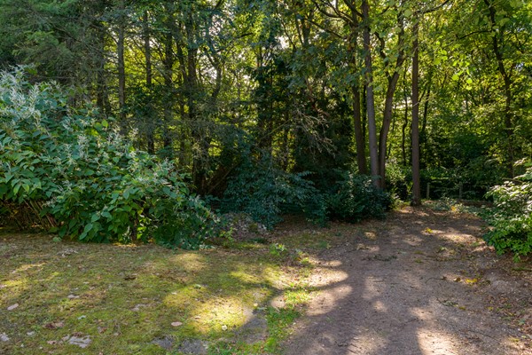 Medium property photo - Zonnegloren 19, 7361 TL Beekbergen
