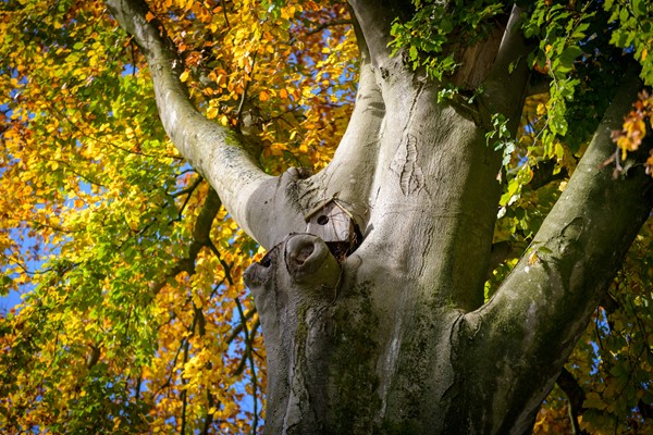 Medium property photo - Klein Canada 55, 7361 CG Beekbergen