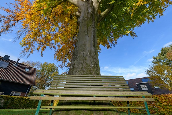 Medium property photo - Klein Canada 55, 7361 CG Beekbergen