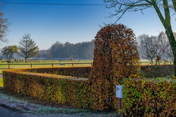 Medium property photo - De Els 20, 7361 ED Beekbergen