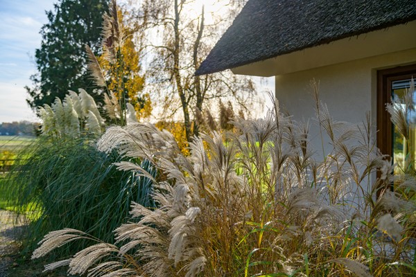 Medium property photo - Konijnenkamp 41, 7361 DD Beekbergen