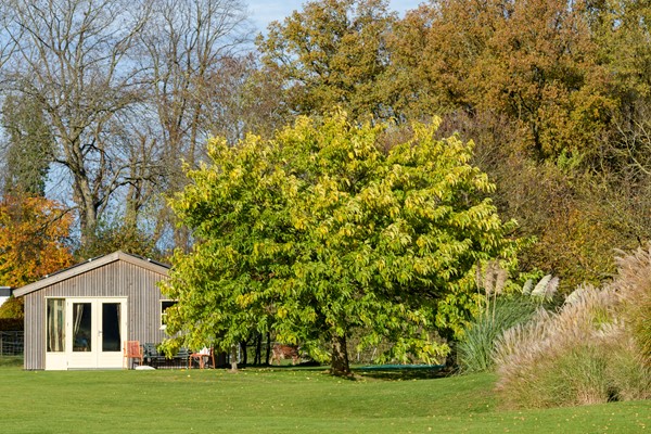 Medium property photo - Konijnenkamp 41, 7361 DD Beekbergen