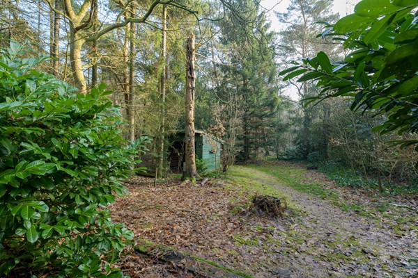 Medium property photo - Kaapbergweg 15, 7361 TG Beekbergen