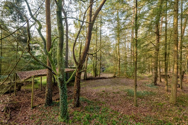 Medium property photo - Kaapbergweg 15, 7361 TG Beekbergen