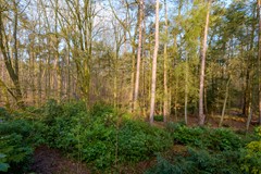 Nieuw in verkoop: Kaapbergweg 15, 7361 TG Beekbergen