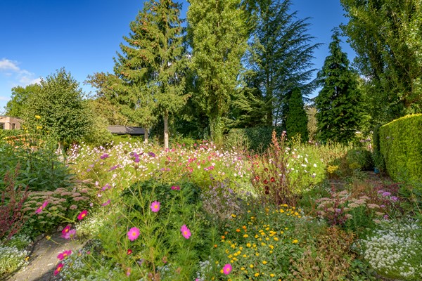 Medium property photo - Ruitersmolenweg 35, 7361 CB Beekbergen