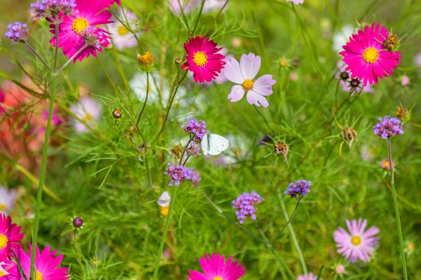 Medium property photo - Ruitersmolenweg 35, 7361 CB Beekbergen